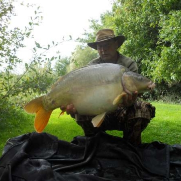 Carp (31lbs 14oz ) caught by Mick Haynes at  France.