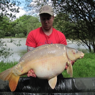 Carp (32lbs 14oz ) caught by Adam Smith at  France.