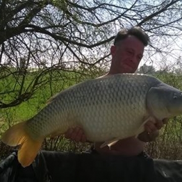 Carp (29lbs 0oz ) caught by Alan Downes at  France.