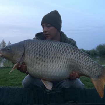 Carp (29lbs 0oz ) caught by Billy Berridge at  France.