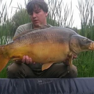 Carp (36lbs 0oz ) caught by Billy Berridge at  France.