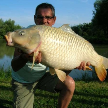 Carp (28lbs 10oz ) caught by Bob Carey at  France.