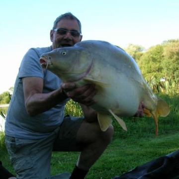 Carp (31lbs 4oz ) caught by Bob Carey at  France.