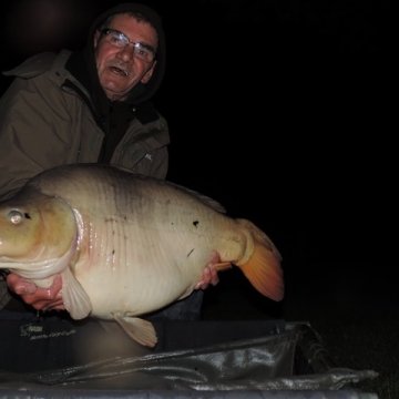 Carp (40lbs 0oz ) caught by Bob Carey at  France.