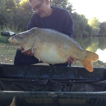 Carp (31lbs 8oz ) caught by Bob Carey at  France.