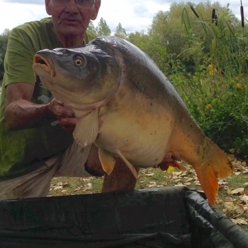 Carp (34lbs 4oz ) caught by Bob Carey at  France.