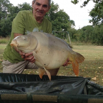 Carp (36lbs 0oz ) caught by Bob Carey at  France.