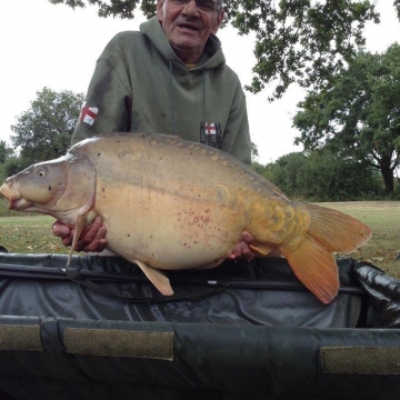 Carp (38lbs 0oz ) caught by Bob Carey at  France.