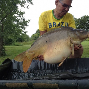 Carp (37lbs 0oz ) caught by Bob Carey at  France.