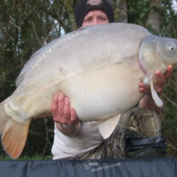 Carp (31lbs 6oz ) caught by Darren Palmer at  France.