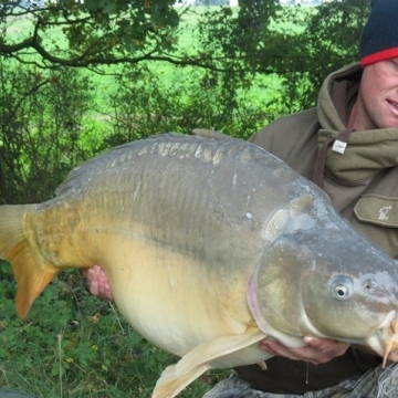 Carp (42lbs 4oz ) caught by Darren Palmer at  France.