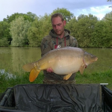 Carp (31lbs 0oz ) caught by Darren Smith at  France.