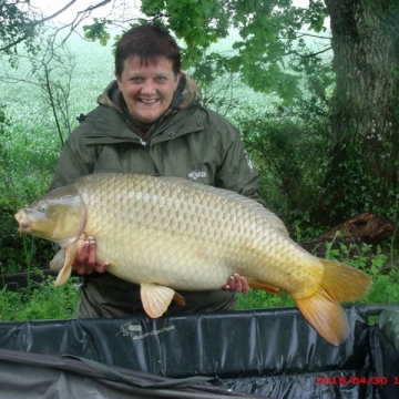 Carp (26lbs 0oz ) caught by Debbie Wright at  France.