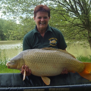 Carp (36lbs 14oz ) caught by Debbie Wright at  France.