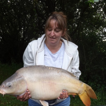 Carp (29lbs 0oz ) caught by Glynis Heaps at  France.