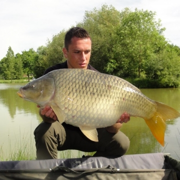 Carp (26lbs 8oz ) caught by James Anderson at  France.