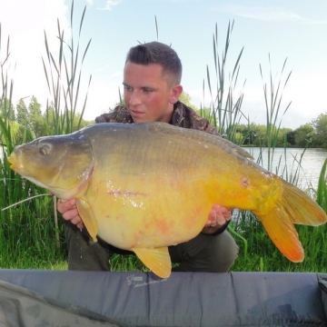 Carp (27lbs 0oz ) caught by James Anderson at  France.