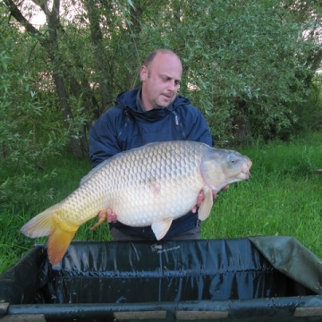 Carp (36lbs 8oz ) caught by Jamie Chambers at  France.