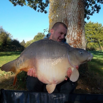 Carp (36lbs 3oz ) caught by Jamie Stitt at  France.