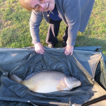 Carp (39lbs 14oz ) caught by Jenny Meider at  France.