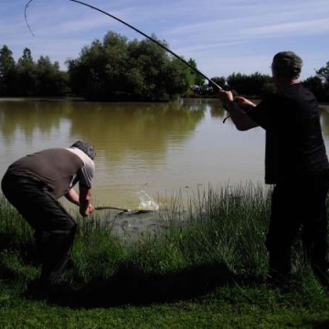 Carp (0lbs 0oz ) caught by John Hillson at  France.