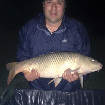 Carp (20lbs 0oz ) caught by John Bedi at  France.