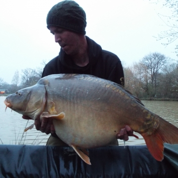 Carp (31lbs 4oz ) caught by Jon Gibson (PB) at  France.