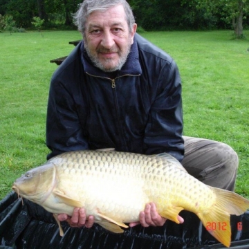 Carp (38lbs 0oz ) caught by Ken Beckingham at  France.