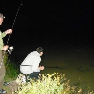 Carp (0lbs 0oz ) caught by Mark Boycott at  France.