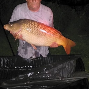 Carp (32lbs 2oz ) caught by Martin Hazell at  France.