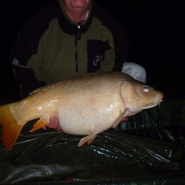 Carp (24lbs 4oz ) caught by Paul Shaw at  France.