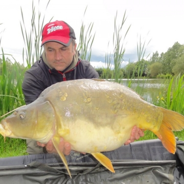 Carp (29lbs 8oz ) caught by Phil Anderson at  France.