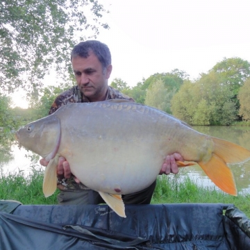 Carp (33lbs 8oz ) caught by Phil Anderson at  France.