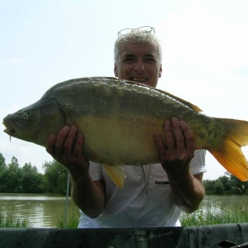 Carp (24lbs 12oz ) caught by Ray Green at  France.