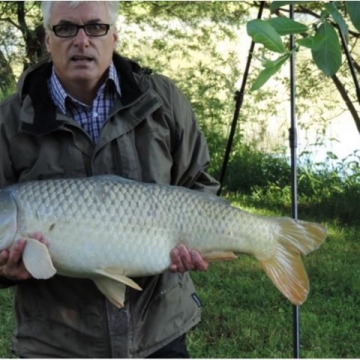 Carp (31lbs 10oz ) caught by Ray Green at  France.