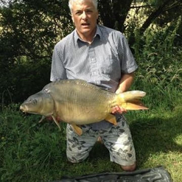 Carp (31lbs 0oz ) caught by Ray Green at  France.