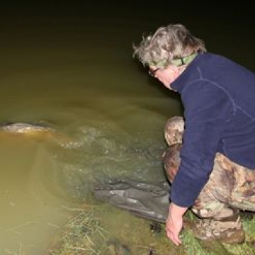 Carp (27lbs 2oz ) caught by Ron Key at  France.