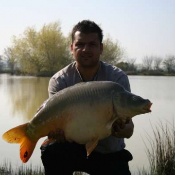 Carp (28lbs 0oz ) caught by Sanjay Hunjun at  France.