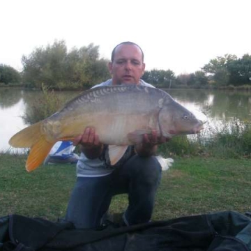 Carp (24lbs 8oz ) caught by Steohen Allison at  France.