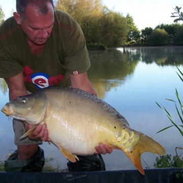 Carp (31lbs 2oz ) caught by Stephen Eastwood at  France.