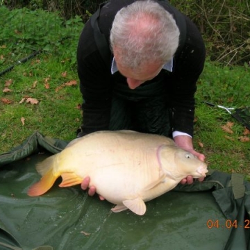 Carp (29lbs 2oz ) caught by Stewart Blackman at  France.