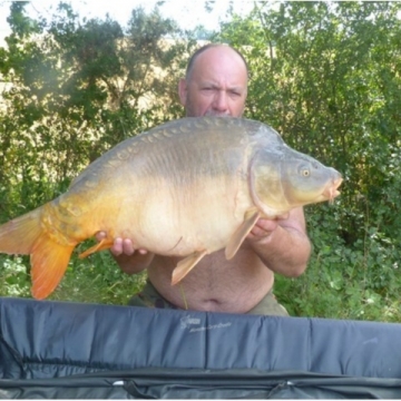 Carp (36lbs 0oz ) caught by Tony Seaton at  France.