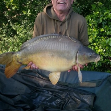 Carp (31lbs 0oz ) caught by Eddy Lloyd at  France.