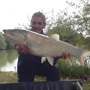 Carp (15lbs 12oz ) caught by Bob Osborne-Carey at  France.