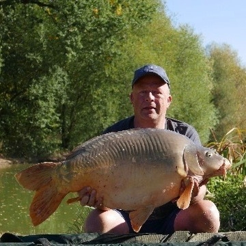 Carp (36lbs 8oz ) caught by Minne de Swart at  France.