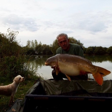 Carp (31lbs 7oz ) caught by Paul Jeive at  France.