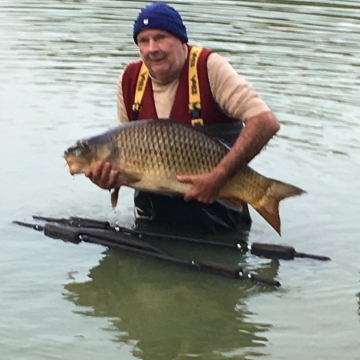 Carp (31lbs 8oz ) caught by Peter Lang at  France.