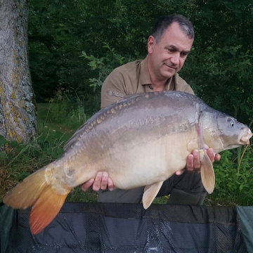 Carp (31lbs 0oz ) caught by Philip Anderson at  France.