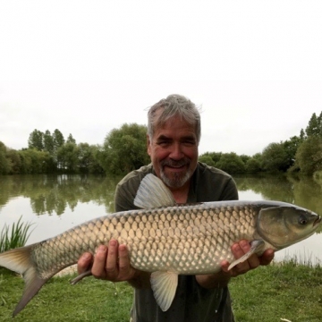 Carp (17lbs 0oz ) caught by Steve Gibson (PB & LR) at  France.