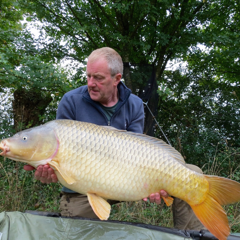 A 36lb common caught just before the lake netting